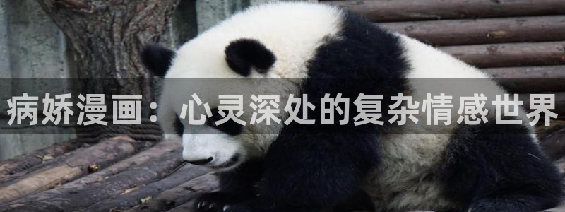 蓝翅漫画全集免费观看下拉式奇漫屋