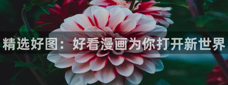 奇漫屋官方-免费漫画下拉