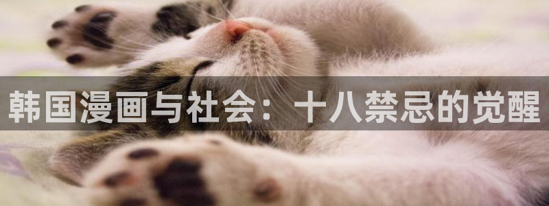 侍女只想活下去漫画下拉式奇漫屋