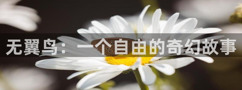 奇漫屋官方-免费漫画下拉