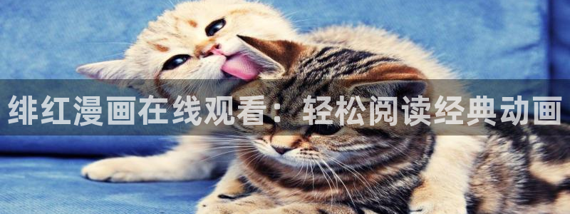 奇漫屋漫画免费下载