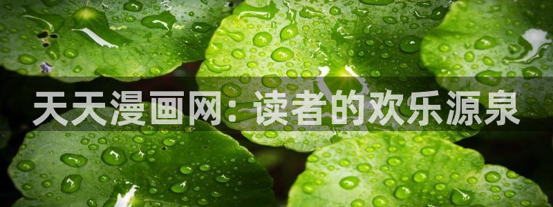 奇漫屋免费漫画下拉式小白杨