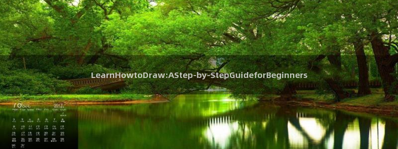 奇漫屋：LearnHowtoDraw:AStep-by-StepGuideforBeginners
