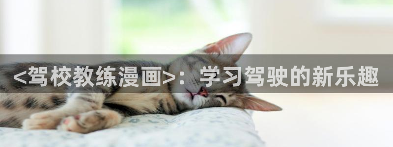 (下拉式)六漫画奇漫屋：<驾校教练漫画>：学习驾驶的新乐趣